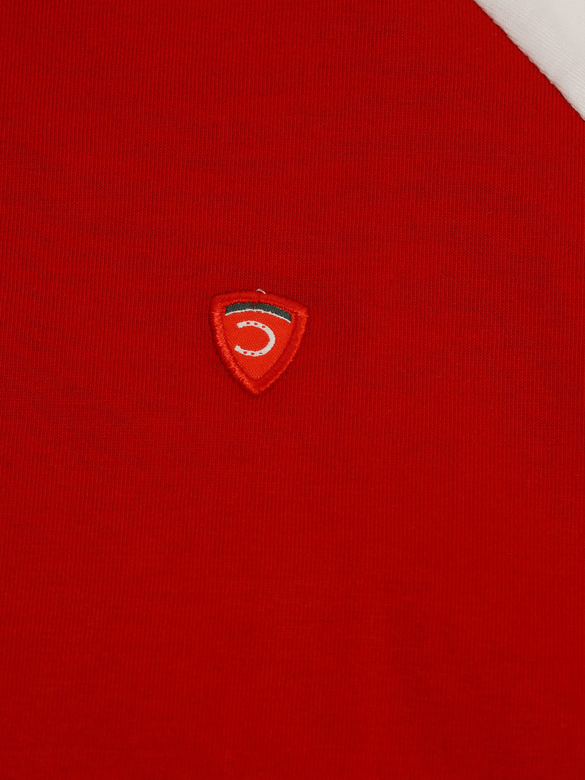 Red Colour Block Cotton Regular Fit Tshirt